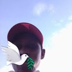 Eric Ha - Facebook