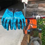 Eric Hagerty - @horsepower_and_hounds - Instagram