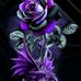 Eric Haggerty - Facebook