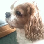Eric Hagley - Facebook