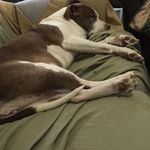 Eric Haley - @eric.haley.353 - Instagram