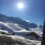 Erik Hallberg - @erikhallberg - Instagram