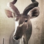 Eric Hammar - @erichammar - Instagram