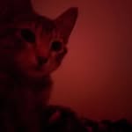 Erica Hammitt7.gamil.com - @hammitt7.gamil.comerica - Instagram