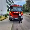 Eric - @eric.hanke5 - TikTok