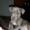 dale - @eric.hansen150 - TikTok