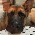 Eric Hart - @hartic - Instagram