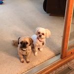 Eric Harvin - @eharvin59 - Instagram