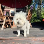 Eric Hassan - @erichassan - Instagram