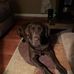 Erik Hassell - Facebook
