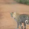 EricHassler1277 - @erichassler1277 - TikTok