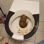 pablo - @erick.hassler145 - Instagram