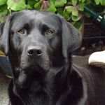 Eric Hastings - @hastings5107 - Instagram