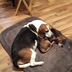 Eric Hatch - @hatcheric - Instagram