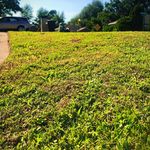 Eric Hatchett - @royalcutslawn21 - Instagram