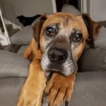 Eric Hathaway - @ninjabeermonky - Instagram