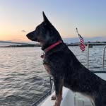 Eric Hathaway - @erichathaway678 - Instagram