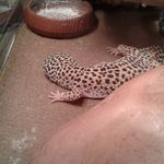 Eric bassle hatten - @ericbassle - Instagram