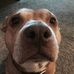 Eric Hauenstein - Facebook
