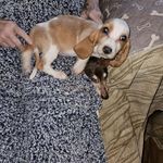 Eric Hauer - @eric.hauer.7731247 - Instagram
