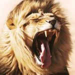 Eric Hauke - @eric.hauke.52 - Instagram