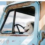 Erick Hauke - @erickhauke - Instagram