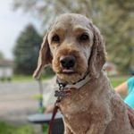 Eric Hauth-Schmid - @hauthschmid - Instagram