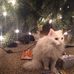 Eric Hawksworth - Facebook