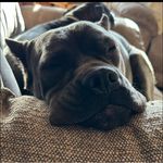 Eric Hawn - @hooverelmo - Instagram