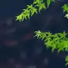 Erichaya - @erichaya - TikTok