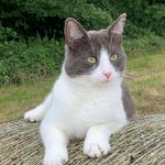 Eric Heaton - @ericheaton - Instagram