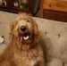 Eric Heide - Facebook