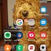ericheide469 - @ericheide469 - TikTok