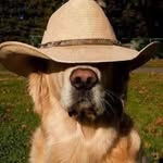 Eric Heine - @heine3006 - Instagram