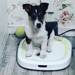 Eric Heinert - @heinerteric - Instagram