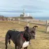 Erica Heinssen - @erica.heinssen - TikTok