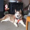 Erica Heller - @erica.heller21 - TikTok