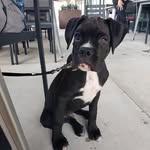 Eric Helsel - @hessusaf - Instagram