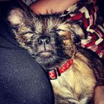 Eric Hemmings - @canucklhead69 - Instagram