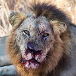 Eric Hemphill - @erichemphill3 - Instagram