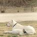 Eric Hendrickson - Facebook