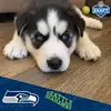 Eric Hendrickson - @eric.hendrickson2 - TikTok