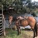 Eric Hendrickson - Facebook