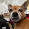 Erichenn_ - @erichenn_ - TikTok