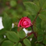 Eric Hennig - @erichennig2 - Instagram