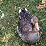 Eric - @erichentonc - Instagram