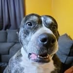 Eric Hepner - @hepner.eric - Instagram