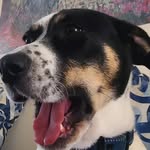 Eric Herb - @eric_herb_ - Instagram