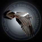 Eric Hermans - Facebook