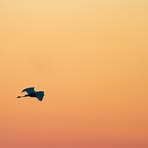 Eric Hermans - Facebook